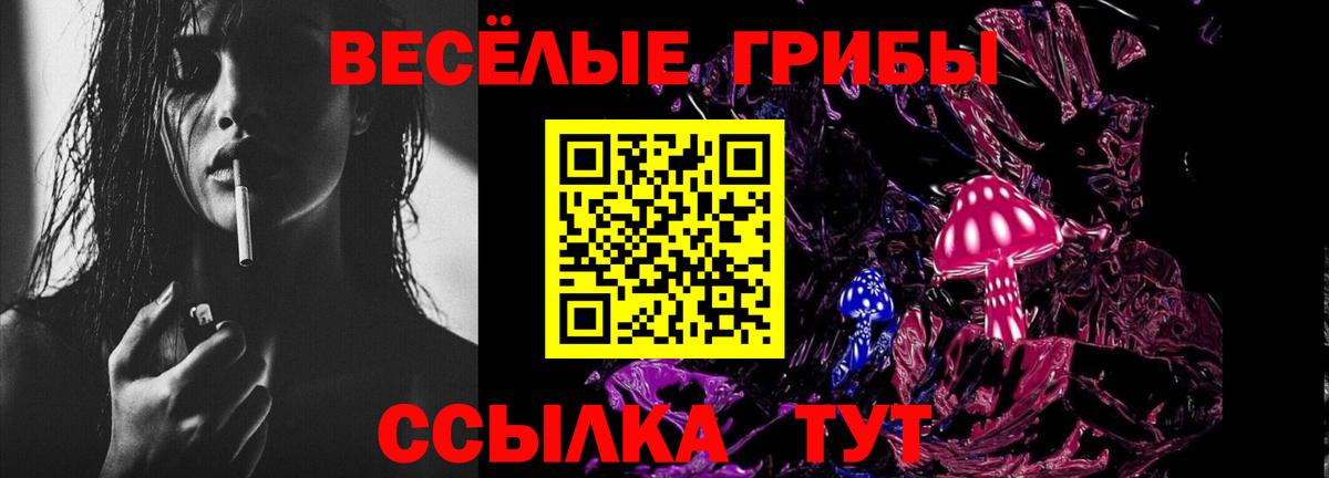 Псилоцибиновые грибы Psilocybe Всеволожск