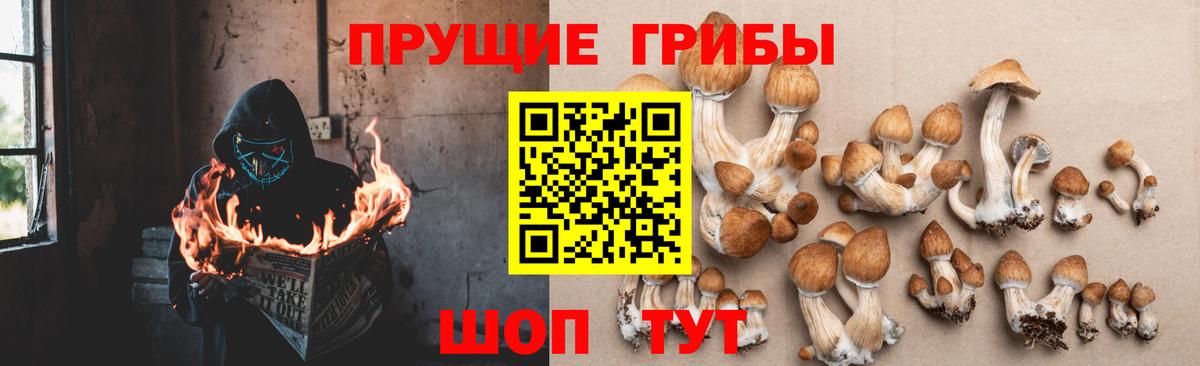 Галлюциногенные грибы ЛСД  Галлюциногенные грибы мицелий  Всеволожск  продажа наркотиков  Вход с VPN 